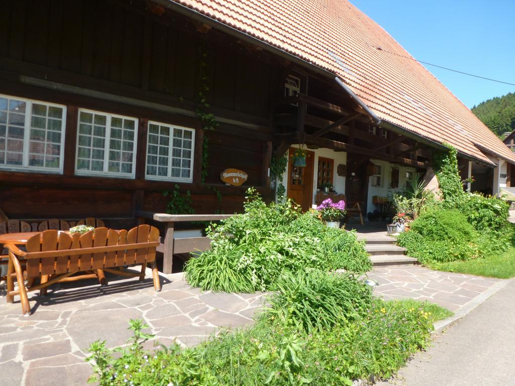 Hotel Rommelehof à Gutach Extérieur photo