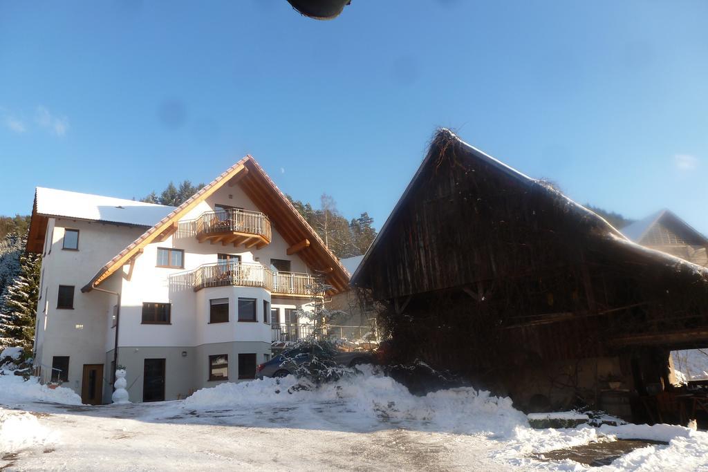 Hotel Rommelehof à Gutach Extérieur photo